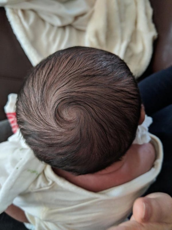 Так выглядят волосы на голове моего новорождённого сына