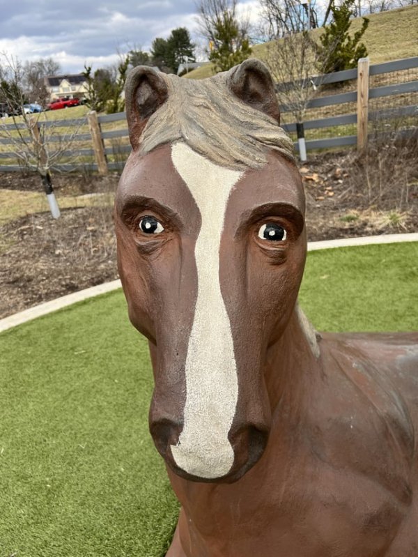 Лошадь с глазами, расположенными в передней части головы. Выглядит жутко
