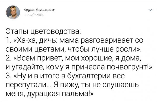 Подборка забавных твитов