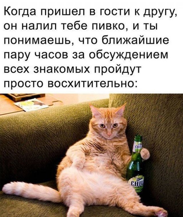 Приколы и мемы про алкоголь