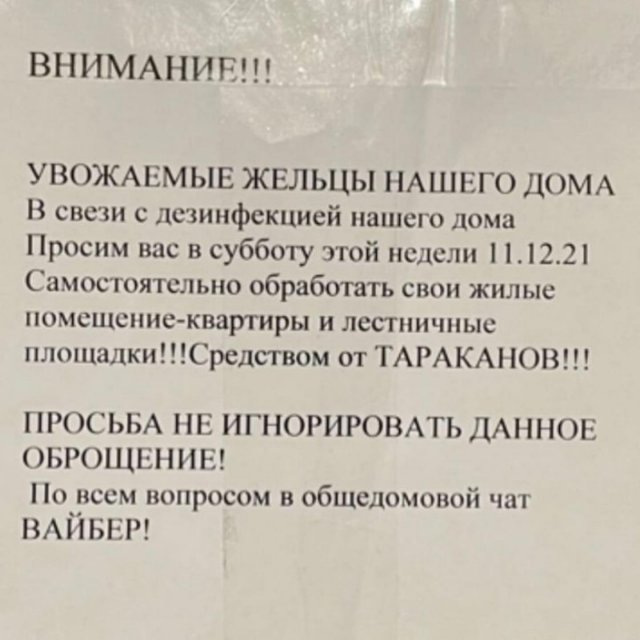 Смешные ошибки, которые точно не оставят равнодушными любителей русского языка