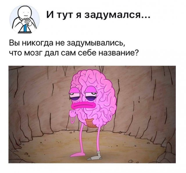 Подборка картинок из серии &quot;и тут я задумался&quot;
