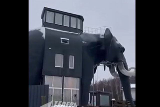 13-метровый дом-слон из подмосковной деревни Попово