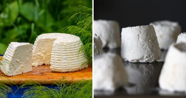 Pule (Пуле) — самый дорогой сыр в мире