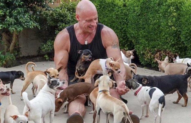 Бобби Химфрис приютил 50 бездомных собак, чтобы спастись от одиночество (4 фото)