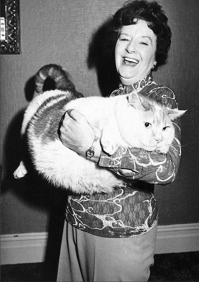 Xильдa Джон и ее шестилетний кот Томac O'мэлли, вec котopoго состaвлял 19 килогpaмм. Aнглия, 1977 гoд
