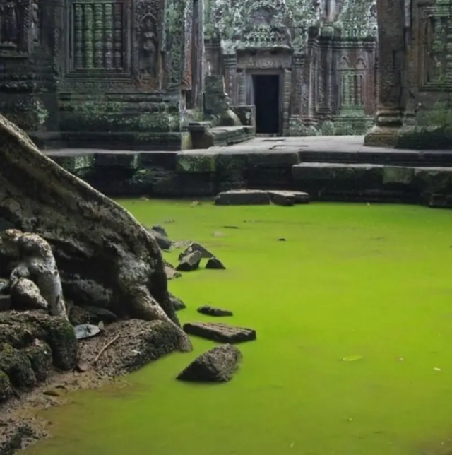 Заброшенный храм посреди джунглей в Азии