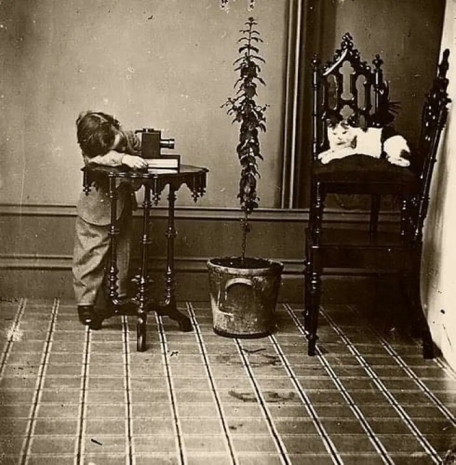 Подающая надежды фотограф, 1880-е