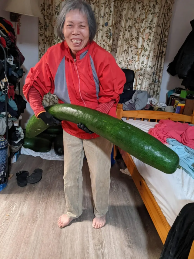 Соседка вырастила огромный кабачок