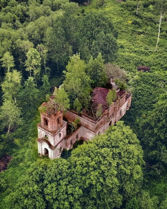 Церковь с лесом на крыше в деревне Турны, Тверская область