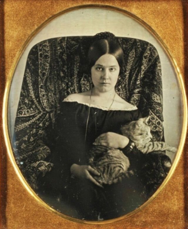 Одна их самых старых фотографий (дагерротипов) с котиком, 1850–е годы, США.