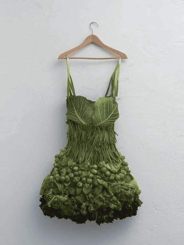 Платье для вегетарианок
