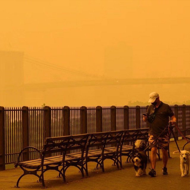 Дым от страшных пожаров в Канаде добрался до Нью-Йорка: там худший день по качеству воздуха