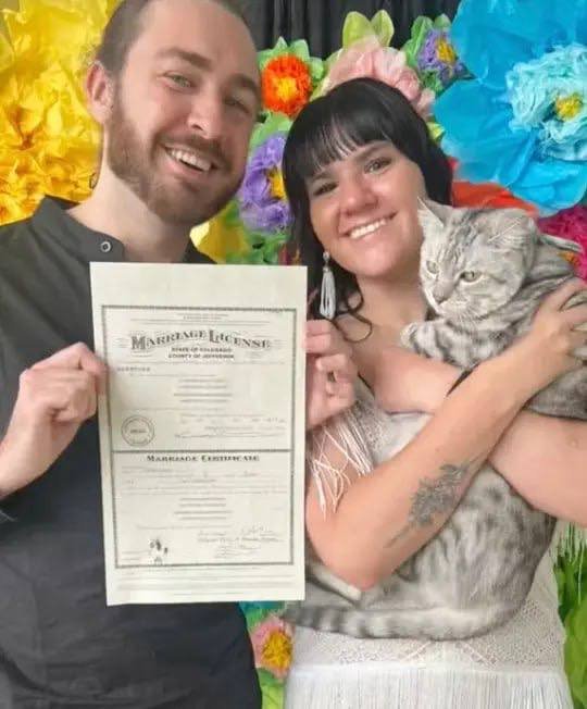Кошка Момо из Колорадо стала свидетелем на свадьбе у своих хозяев