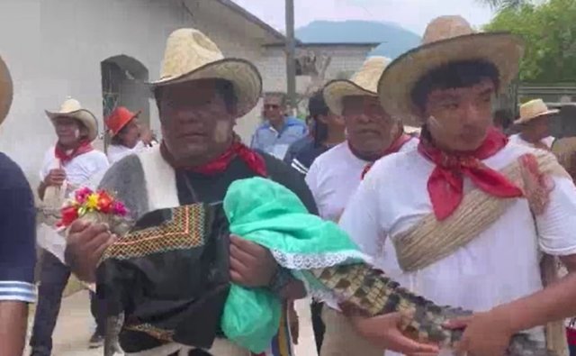 В Мексике мэр сыграл свадьбу с самкой крокодила - это была вынужденная жертва