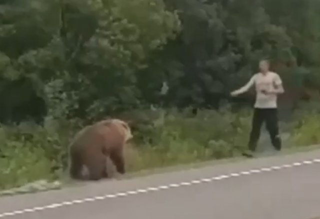 На Камчатке человек решил подружиться с медведем