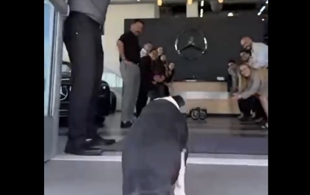Видео дня: Мерседес-Бенц сделала кастомные колёса для пса-спасателя