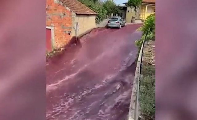 Улицы Португалии превратились в реки вина