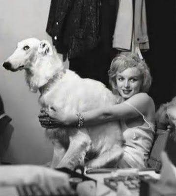 Великолепная Мэрилин Монро и ее собаки