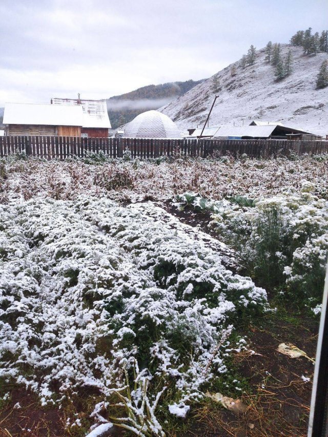 В Красноярском крае, Кемеровской области, Республике Алтай и Тыве выпал первый снег