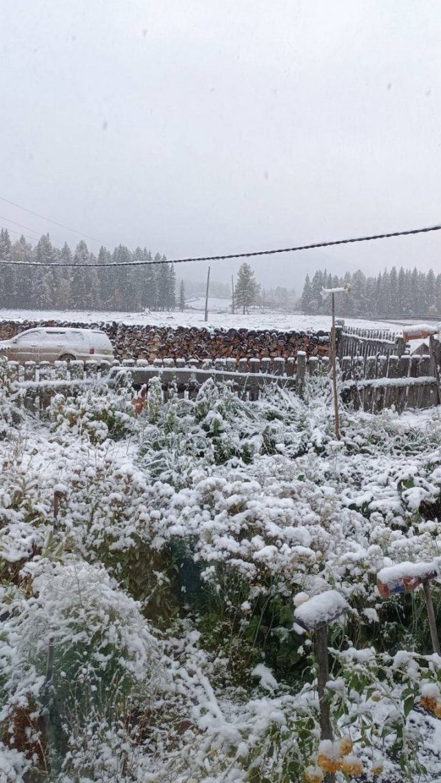 В Красноярском крае, Кемеровской области, Республике Алтай и Тыве выпал первый снег