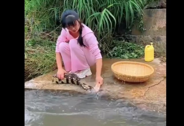 Пробовали ли вы когда-нибудь крокодила