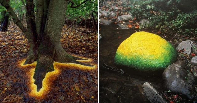 Работы Энди Голдсворти, художника который переосмысливает мир через естественную геометрию