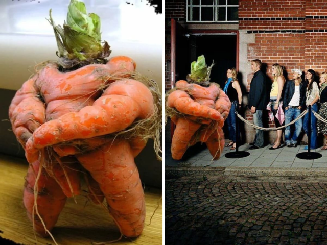 Морковный фэйс-контроль