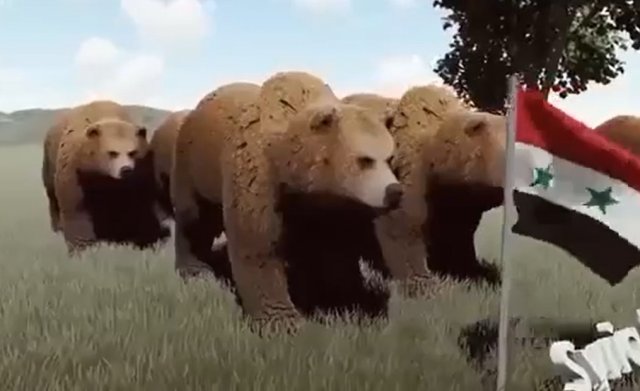 Каково количество медведей в разных странах