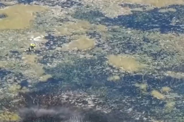 В США самолет рухнул в болото, где живут аллигаторы, а пилот 9 часов ждал помощи