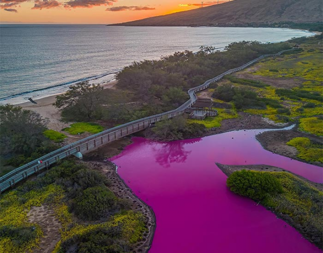 Цветная фиолетовая вода пруда Келия