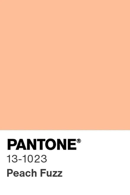 Институт цвета Pantone объявил главный цвет 2024 года — &quot;персиковый пух&quot;