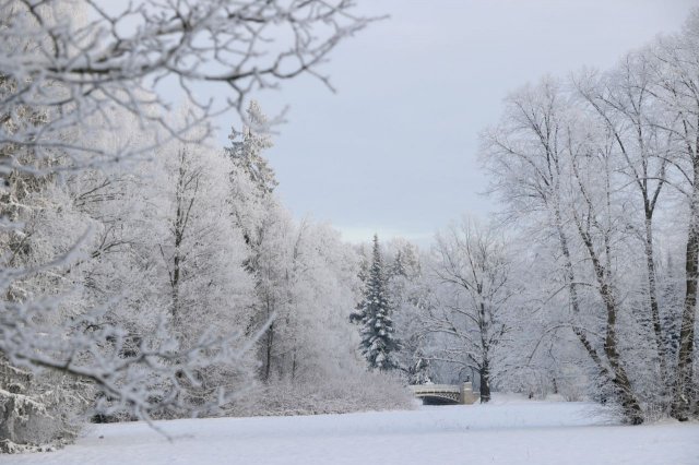 Снежно и красиво в музее-заповеднике Павловск