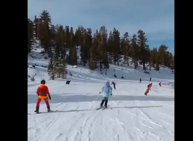 Медведь решил покататься с лыжниками на трассе в США