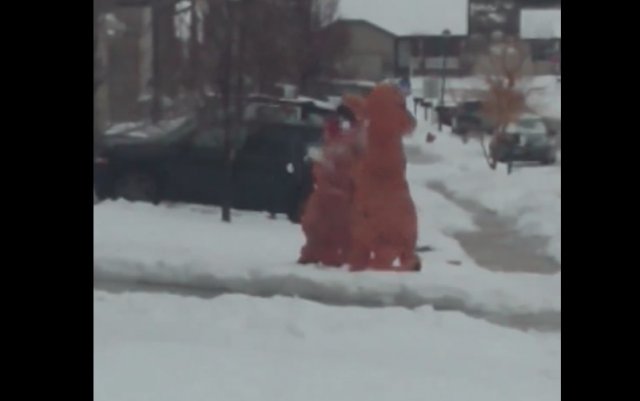Вечеринка дня: два человека в костюме динозавра устроили снежный бой