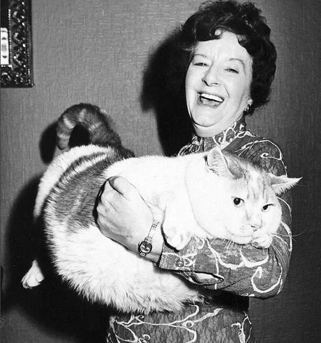 Xильдa Джон и ее шестилетний кот Томac O'мэлли, вec котopoго состaвлял 19 килогpaмм. Aнглия, 1977 гoд.