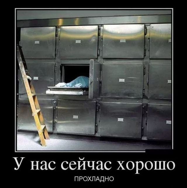 черный юмор в картинках