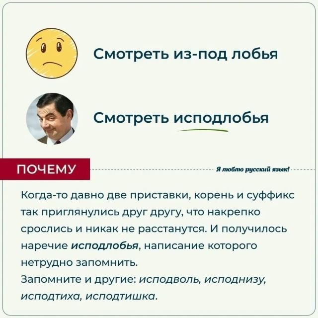 Правила русского языка и ошибки, которые совершают многие (15 фото)