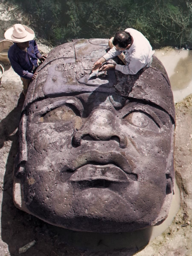 Большая базальтовая голова, раскопанная в 1946 году в Мексике