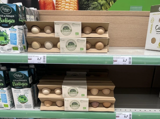 Альтернативная коробка для яиц