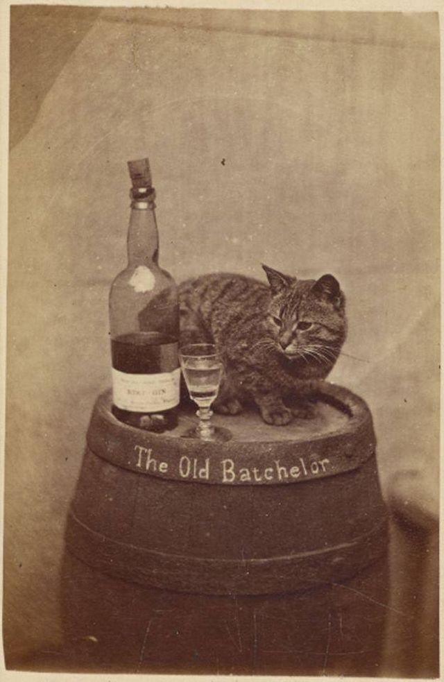 Пол бyтылки джинa «Cтapый xoлоcтяк». Великобритания. 1890-е.