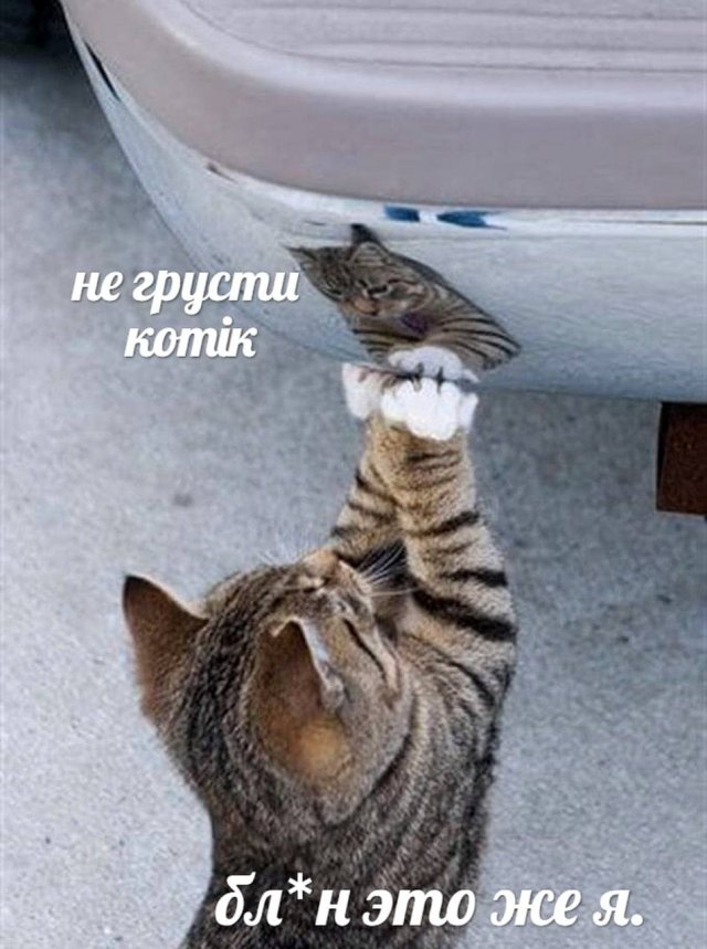 красивые картинки