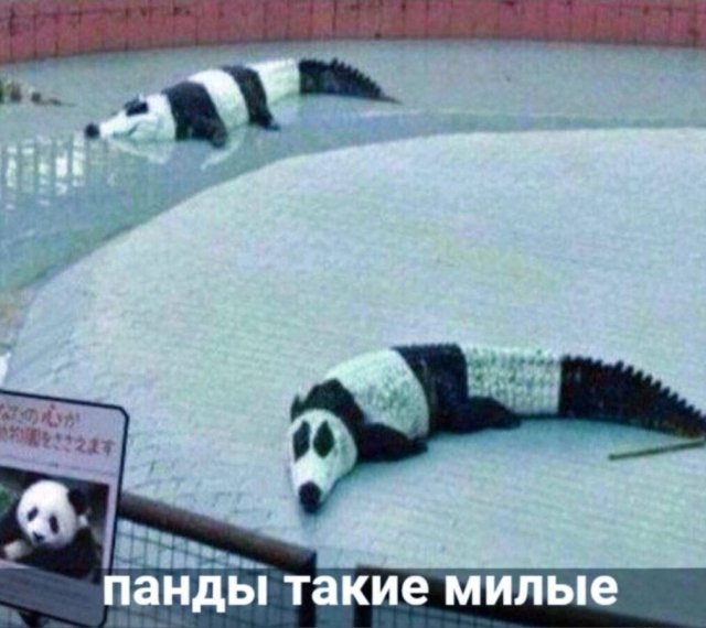 красивые картинки