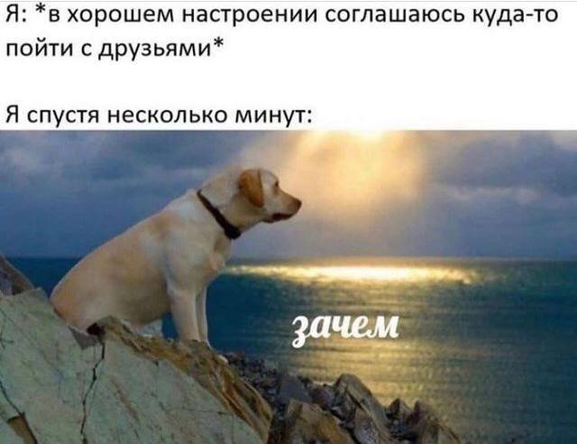 бесплатные картинки