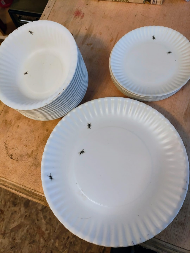 Это прочная многоразовая пластиковая посуда с нарисованными на ней муравьями