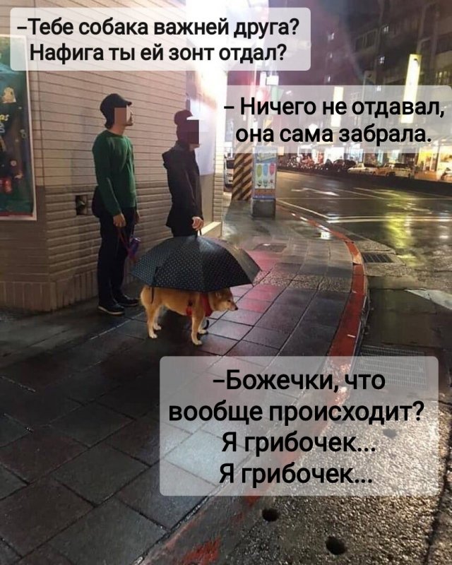 Подборка мемов, приколов и забавных комментариев
