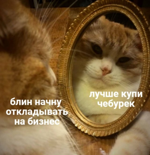 смешные мемы