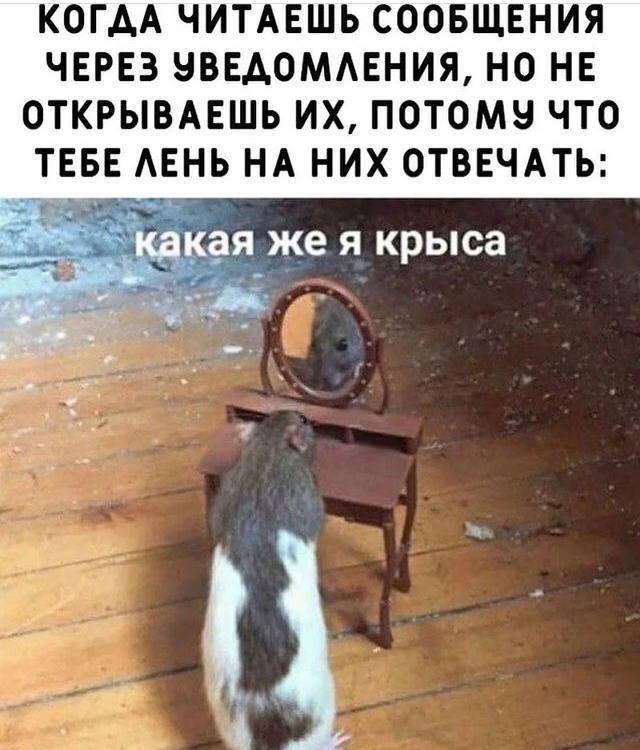 смешные мемы