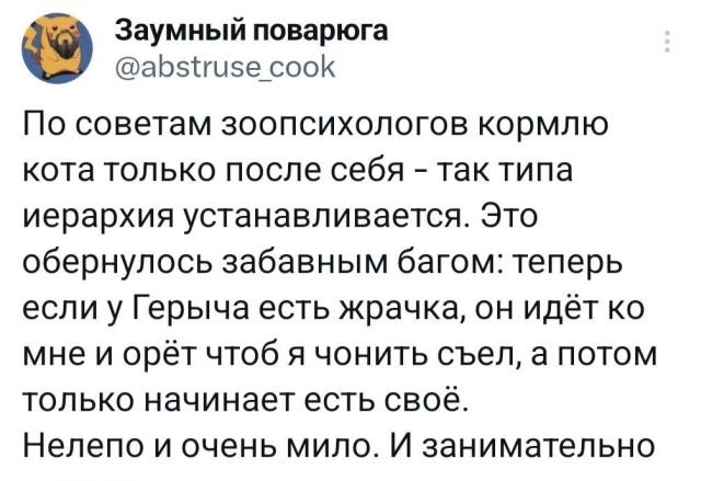 Подборка забавных твитов обо всем