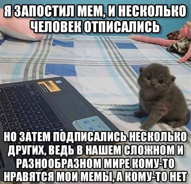 Лучшие шутки и мемы из Сети - 01.05.2024